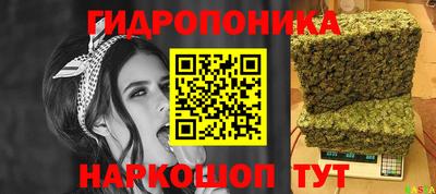 стафф Берёзовский