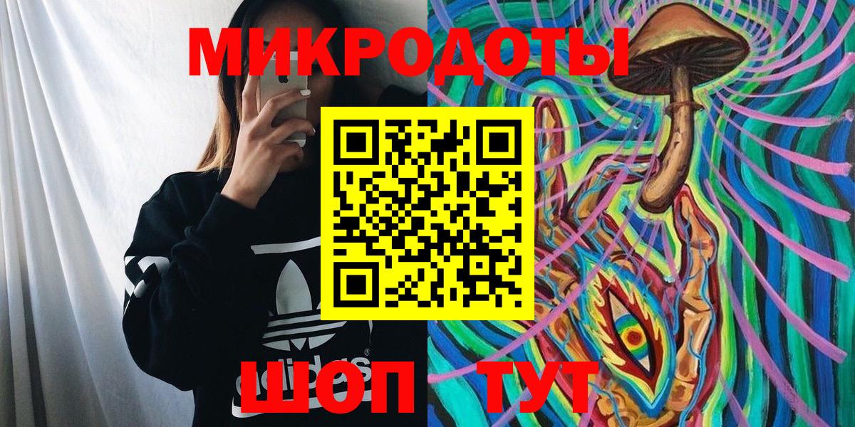 Псилоцибиновые грибы Psilocybe Балаково