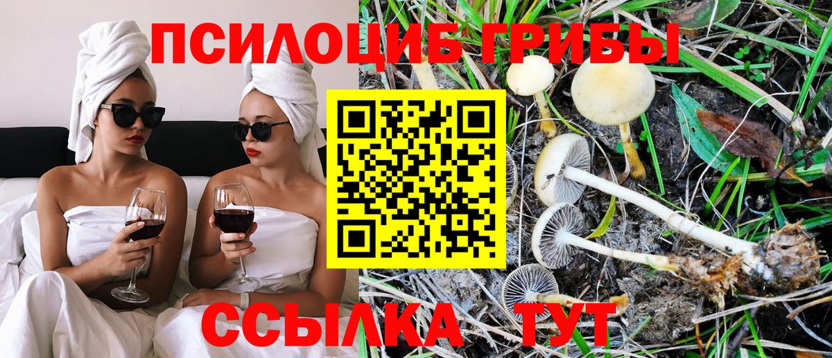 Балаково  Галлюциногенные грибы Cubensis  Галлюциногенные грибы прущие грибы  где можно купить наркотик  Вход с VPN 